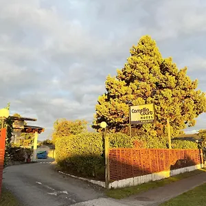 *** 汽车旅馆 山茶花苑家庭汽车旅馆 新西兰